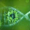 U Bjelovarsko-bilogorskoj županiji potvrđeno je 16 novih slučajeva zaraze koronavirusom.