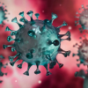 U Bjelovarsko-bilogorskoj županiji potvrđeno je 6 novih slučajeva zaraze koronavirusom.