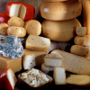 15. proljetni sajam: Predavanje o proizvodnji i prodaji sira na obiteljskom poljoprivrednom gospodarstvu