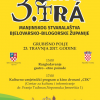 3. SMOTRA MANJINSKOG STVARALAŠTVA BJELOVARSKO-BILOGORSKE ŽUPANIJE