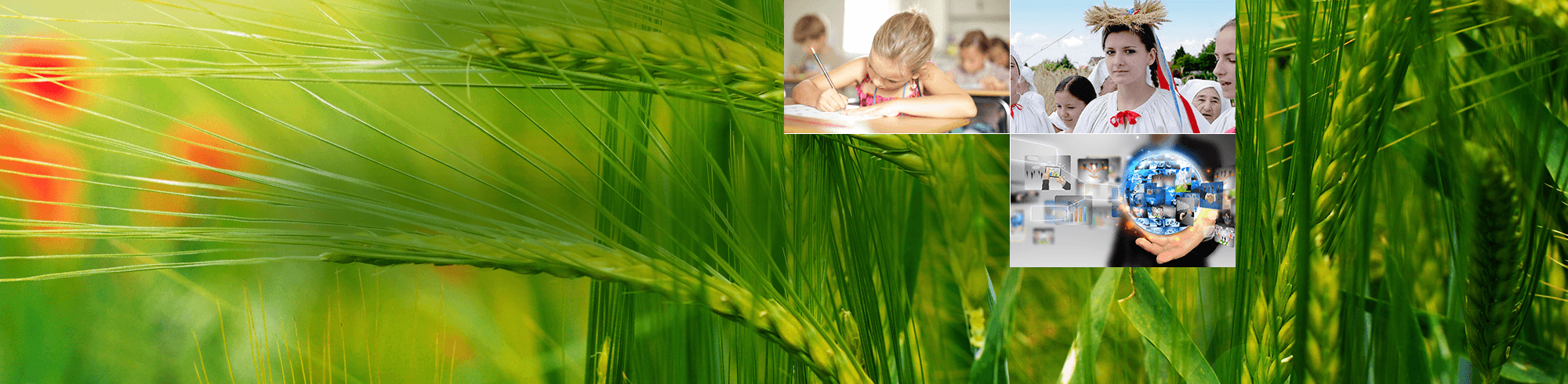 BBŽ - Zelena oaza zdravlja, znanja,<br />
tradicijskih vrijednosti i pravih prilika